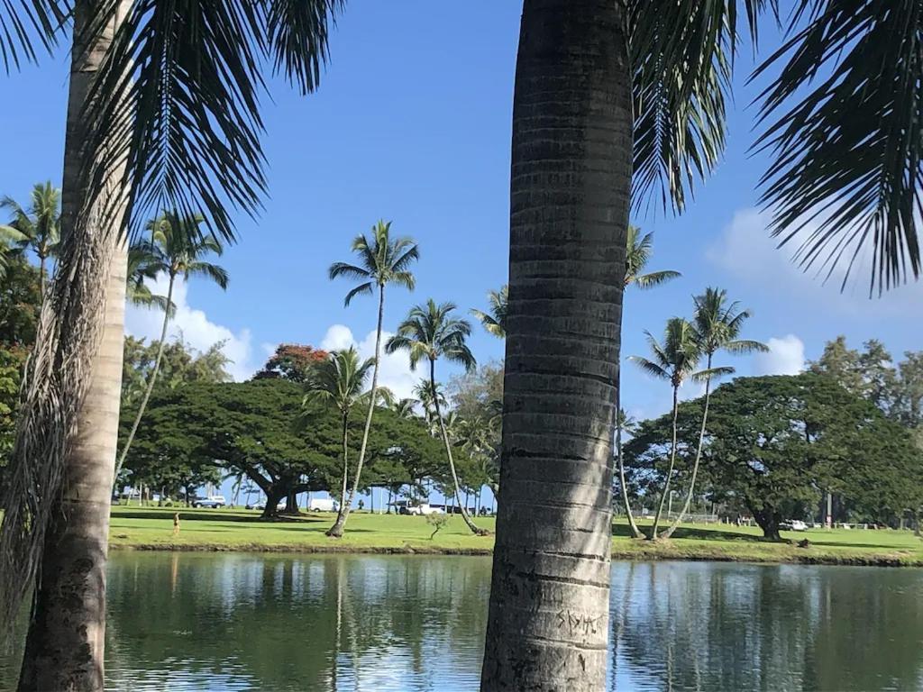 Stunning Views Best Location In Hilo 2Br Modern Condo ภายนอก รูปภาพ
