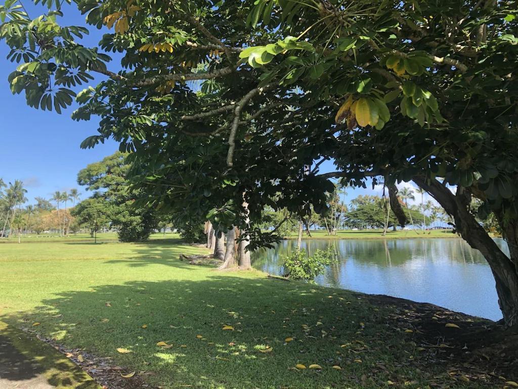 Stunning Views Best Location In Hilo 2Br Modern Condo ภายนอก รูปภาพ